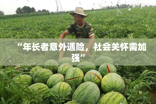 “年长者意外遇险，社会关怀需加强”