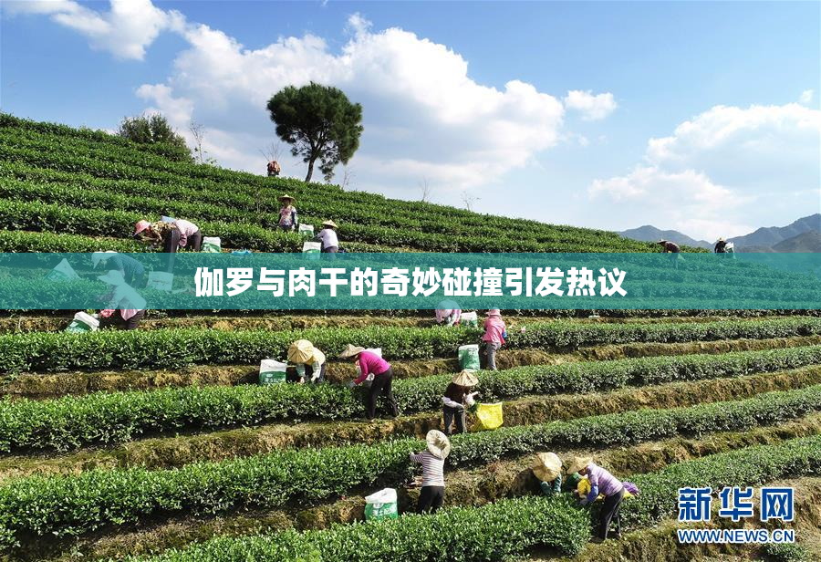 伽罗与肉干的奇妙碰撞引发热议