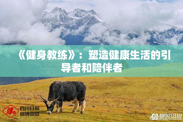 《健身教练》：塑造健康生活的引导者和陪伴者