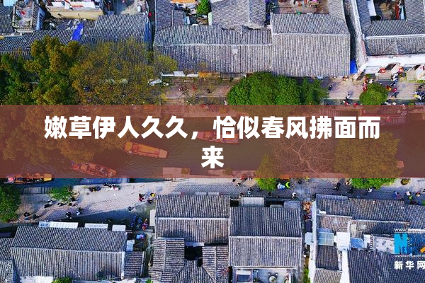 嫩草伊人久久，恰似春风拂面而来