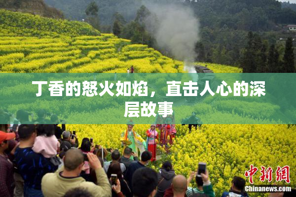丁香的怒火如焰，直击人心的深层故事