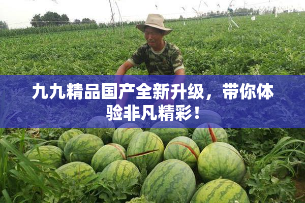 九九精品国产全新升级，带你体验非凡精彩！