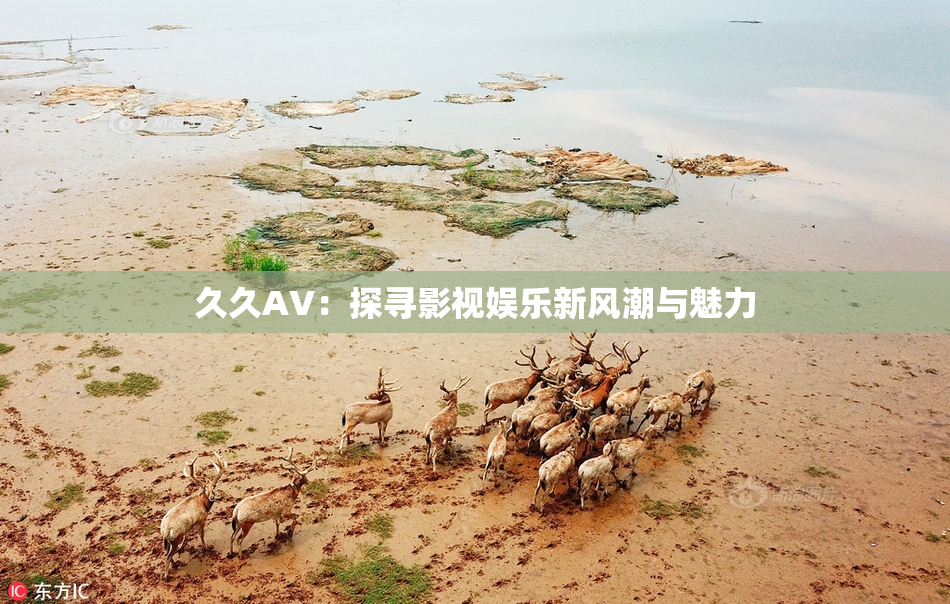 久久AV：探寻影视娱乐新风潮与魅力
