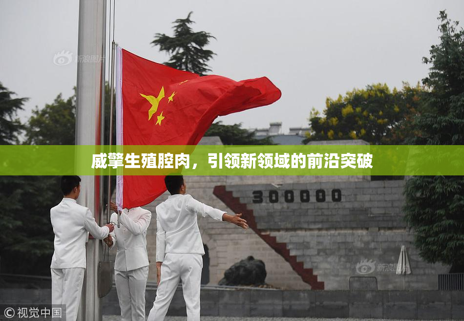 威擎生殖腔肉，引领新领域的前沿突破