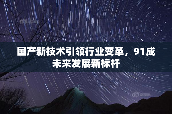 国产新技术引领行业变革，91成未来发展新标杆