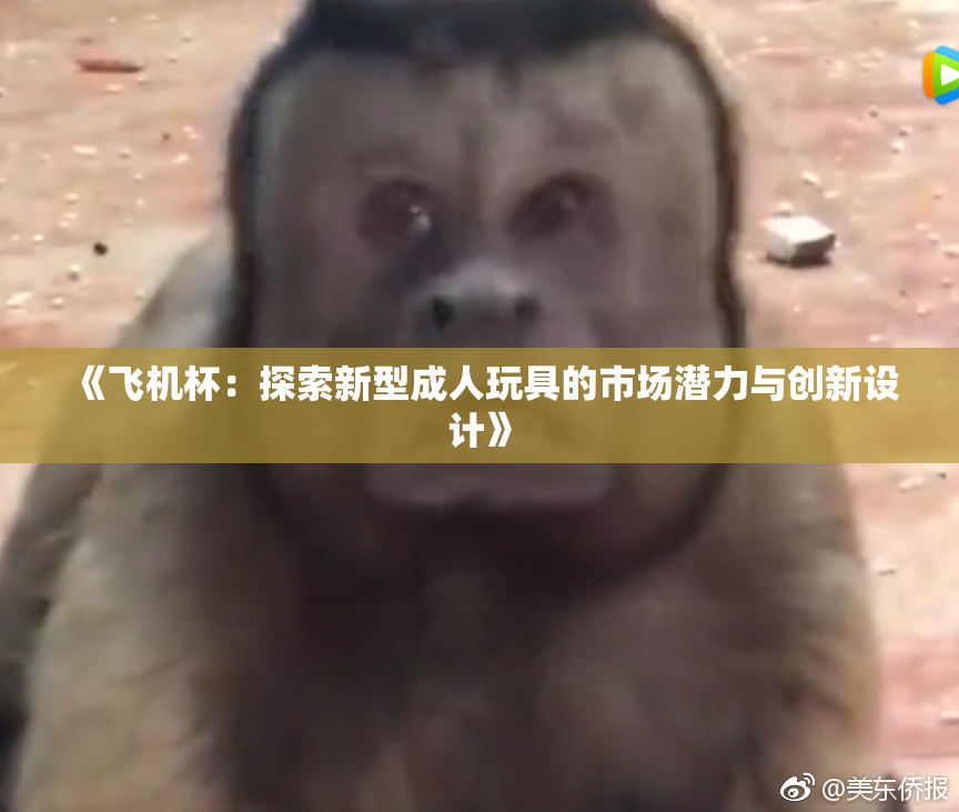 《飞机杯：探索新型成人玩具的市场潜力与创新设计》
