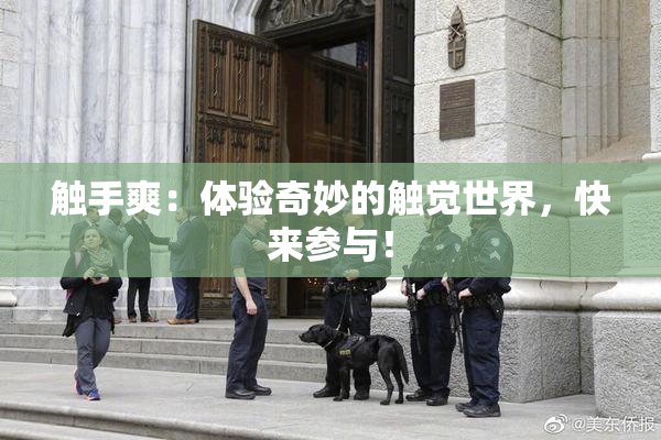 触手爽：体验奇妙的触觉世界，快来参与！