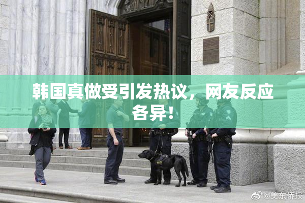 韩国真做受引发热议，网友反应各异！