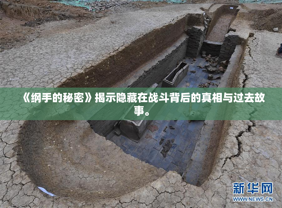 《纲手的秘密》揭示隐藏在战斗背后的真相与过去故事。