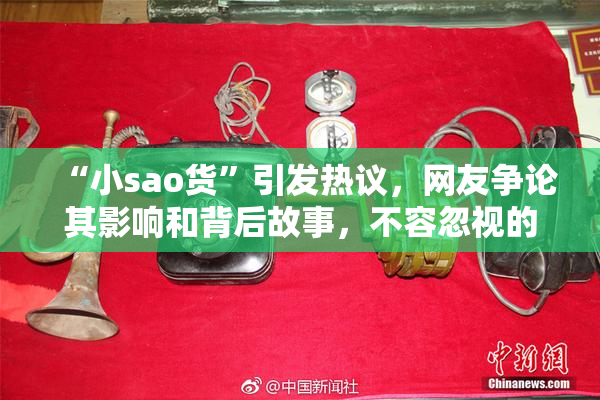 “小sao货”引发热议，网友争论其影响和背后故事，不容忽视的文化现象。