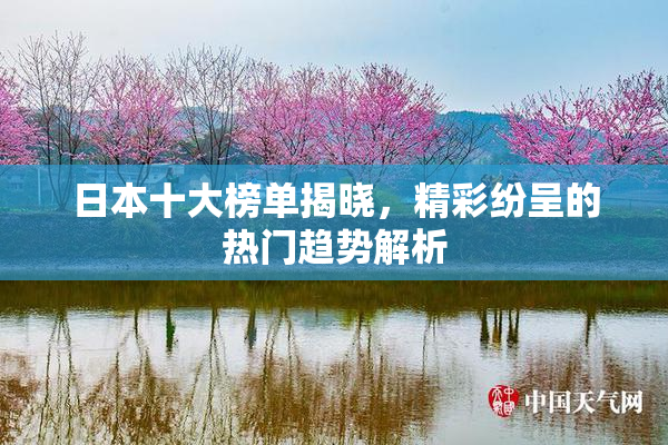 日本十大榜单揭晓，精彩纷呈的热门趋势解析