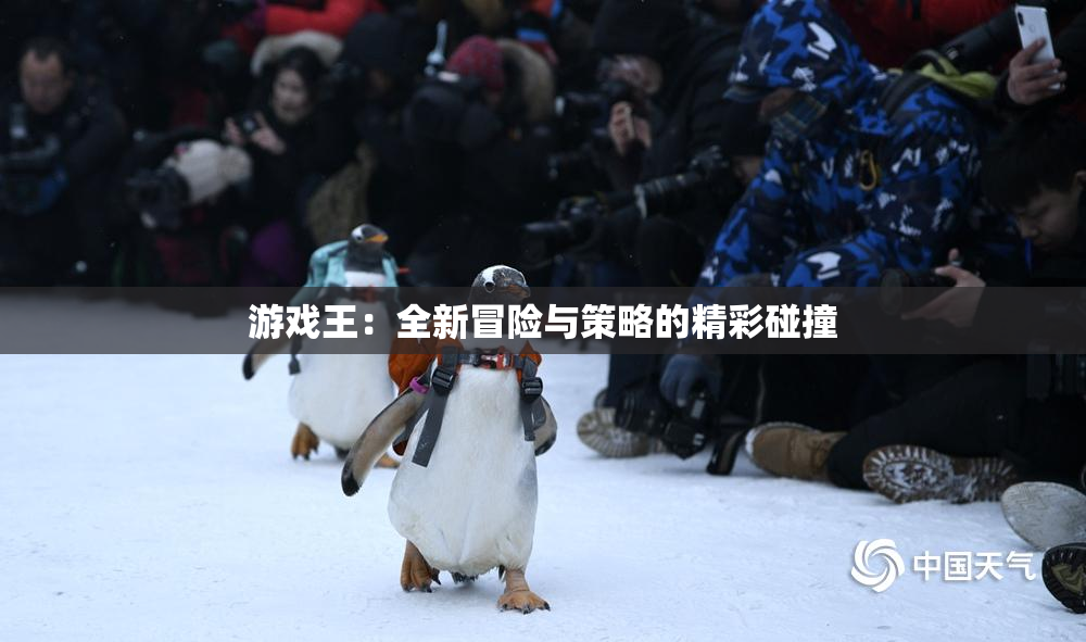 游戏王：全新冒险与策略的精彩碰撞