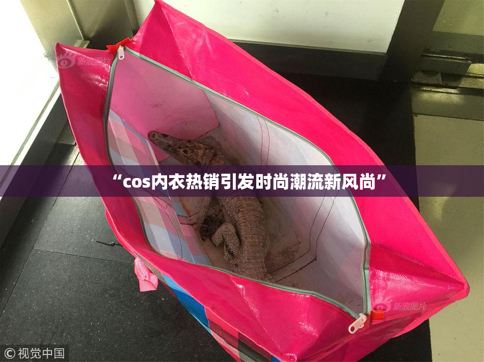 “cos内衣热销引发时尚潮流新风尚”