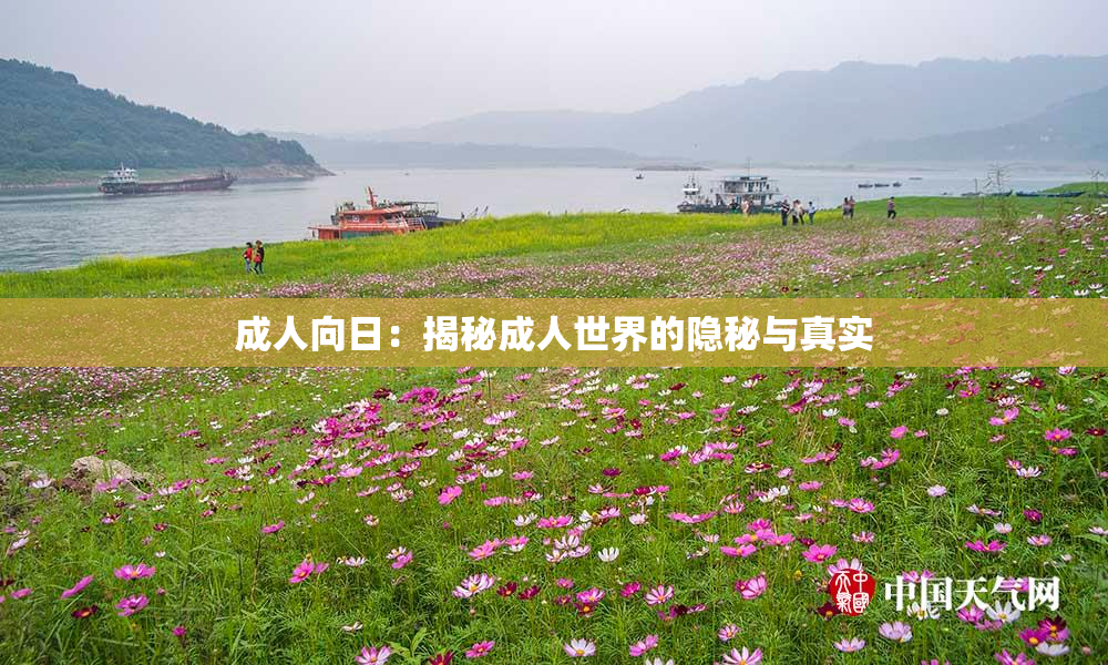 成人向日：揭秘成人世界的隐秘与真实