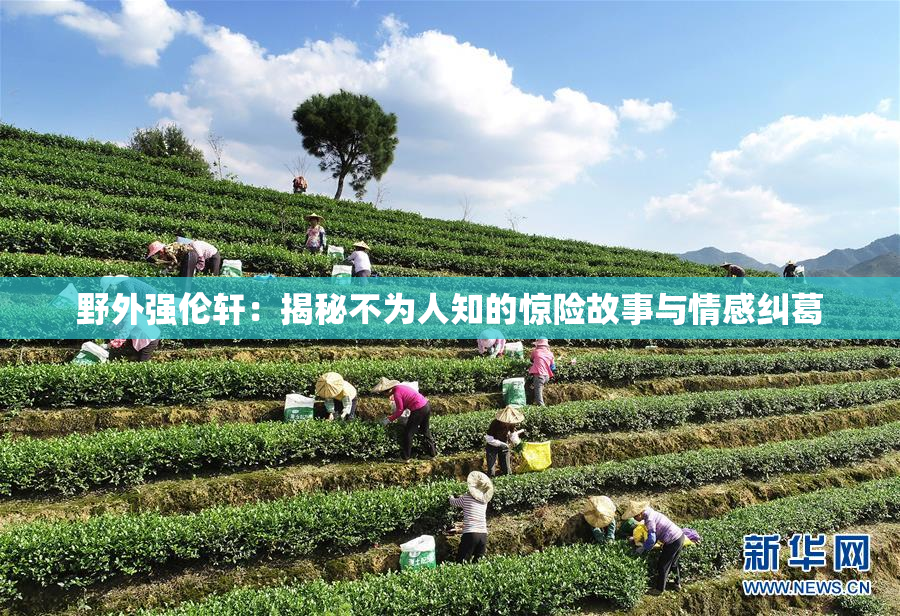 野外强伦轩：揭秘不为人知的惊险故事与情感纠葛