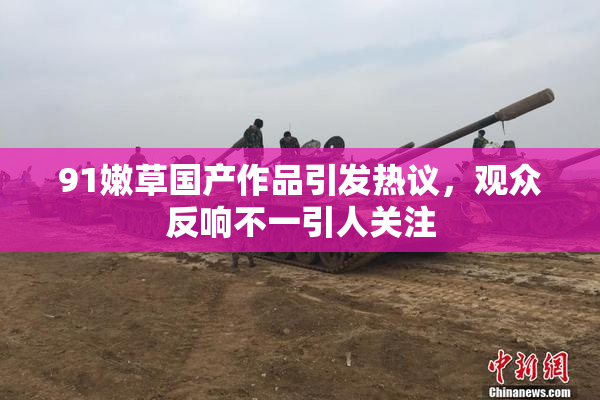 91嫩草国产作品引发热议，观众反响不一引人关注