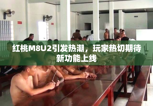 红桃M8U2引发热潮，玩家热切期待新功能上线