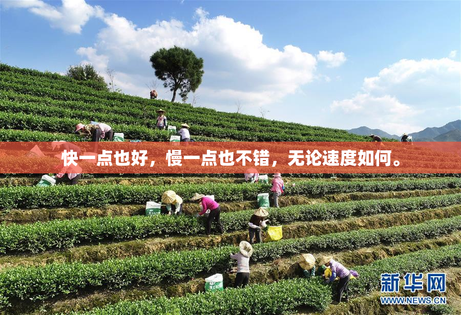 快一点也好，慢一点也不错，无论速度如何。