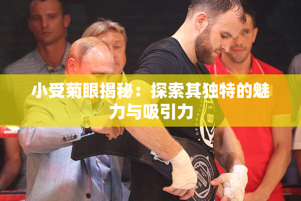 小受菊眼揭秘：探索其独特的魅力与吸引力