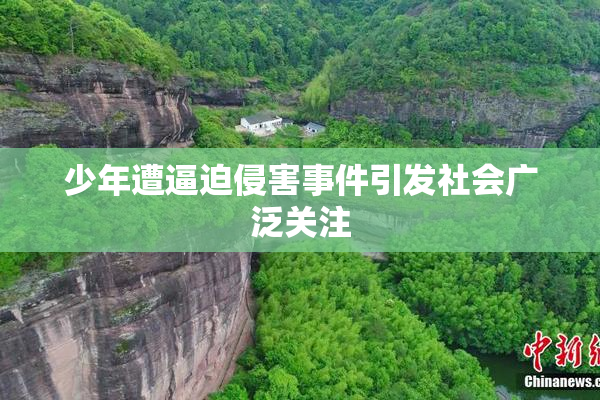 少年遭逼迫侵害事件引发社会广泛关注