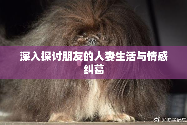 深入探讨朋友的人妻生活与情感纠葛