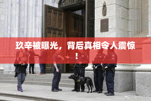玖辛被曝光，背后真相令人震惊！