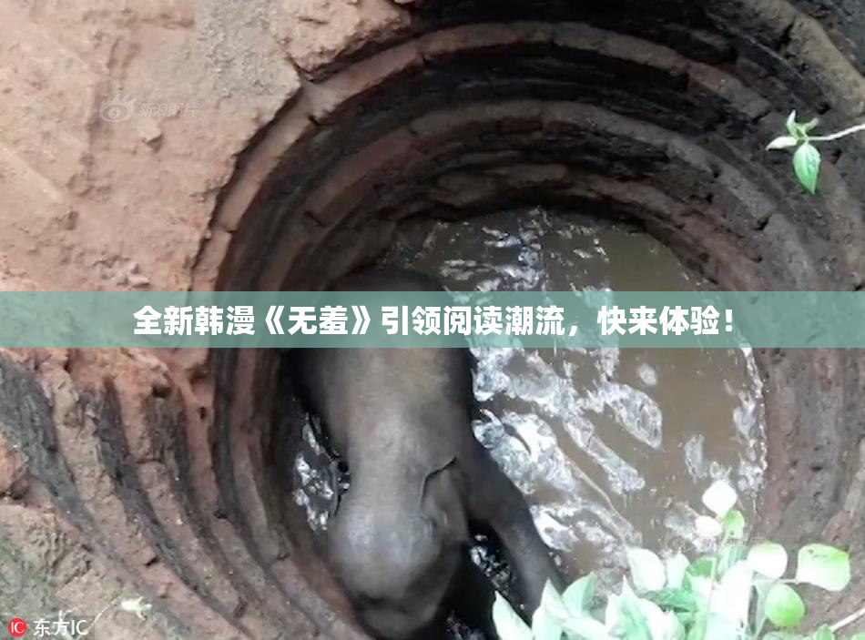 全新韩漫《无羞》引领阅读潮流，快来体验！
