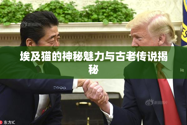 埃及猫的神秘魅力与古老传说揭秘