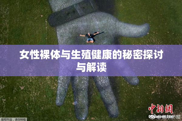 女性裸体与生殖健康的秘密探讨与解读