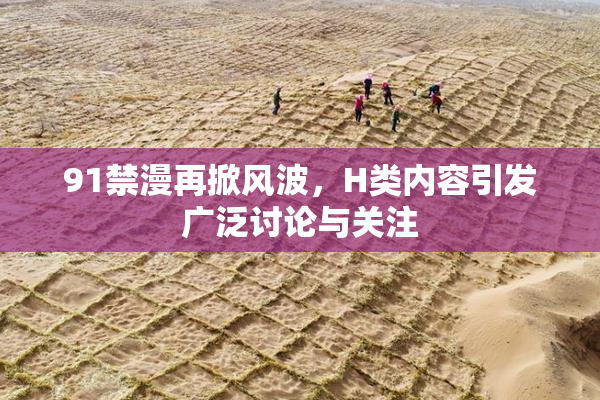 91禁漫再掀风波，H类内容引发广泛讨论与关注