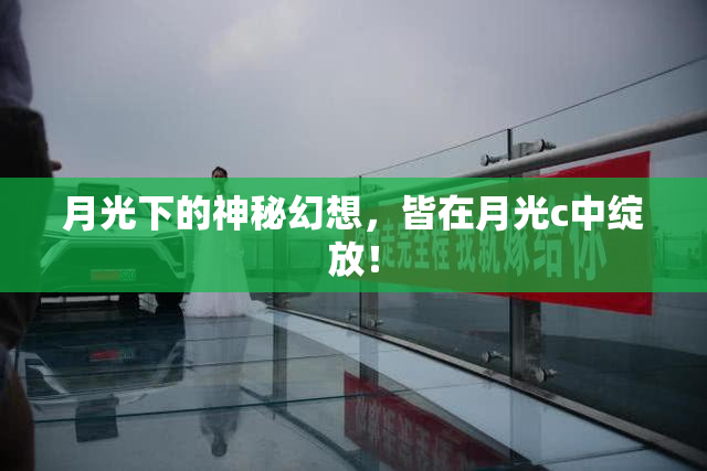 月光下的神秘幻想，皆在月光c中绽放！
