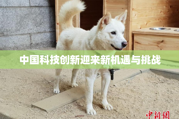 中国科技创新迎来新机遇与挑战