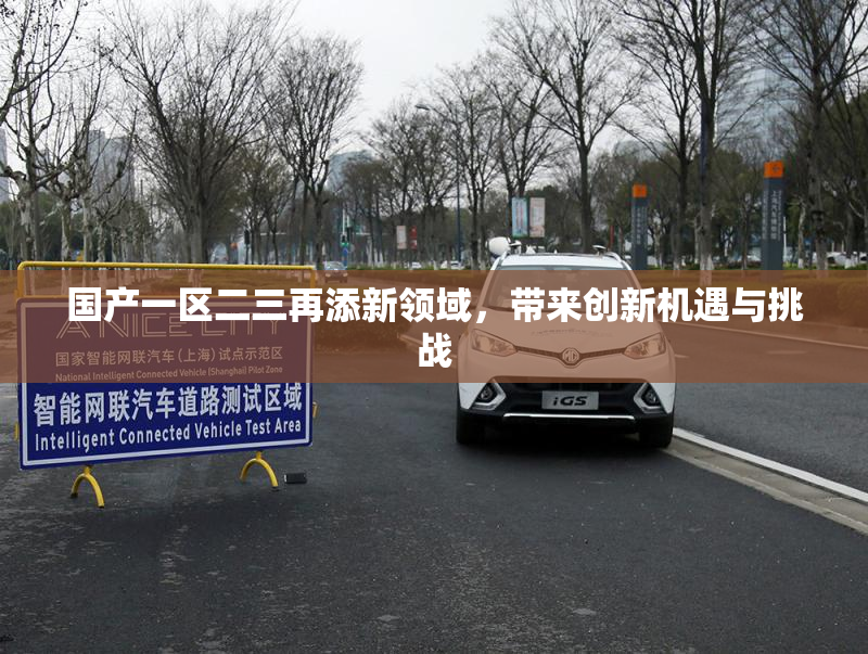国产一区二三再添新领域，带来创新机遇与挑战