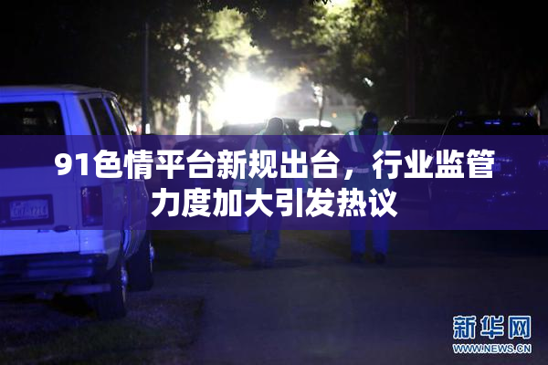 91色情平台新规出台，行业监管力度加大引发热议