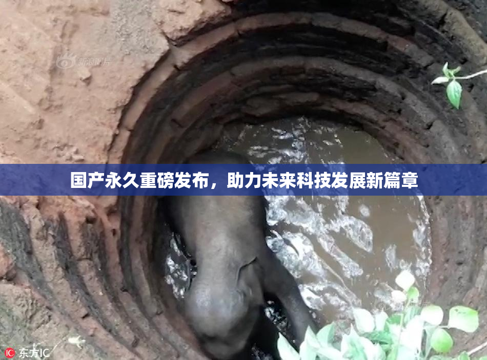 国产永久重磅发布，助力未来科技发展新篇章
