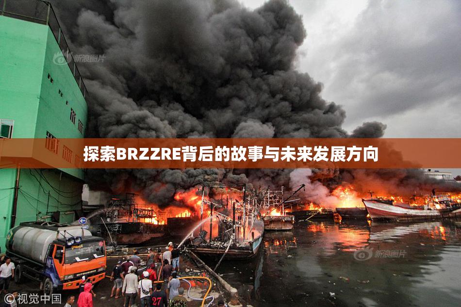探索BRZZRE背后的故事与未来发展方向