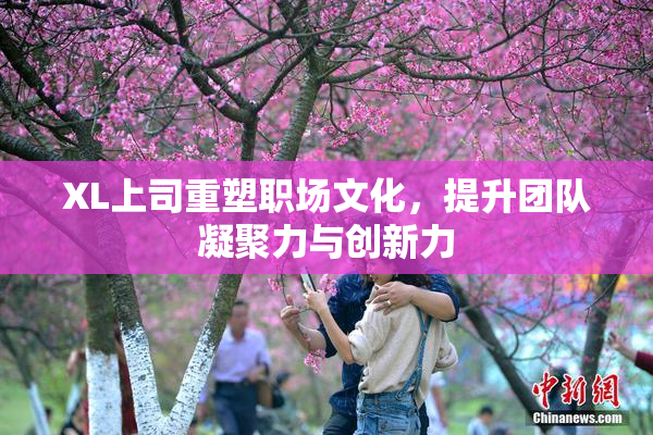 XL上司重塑职场文化，提升团队凝聚力与创新力