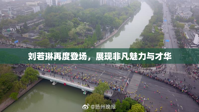 刘若琳再度登场，展现非凡魅力与才华