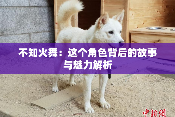 不知火舞：这个角色背后的故事与魅力解析