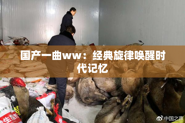 国产一曲ww：经典旋律唤醒时代记忆
