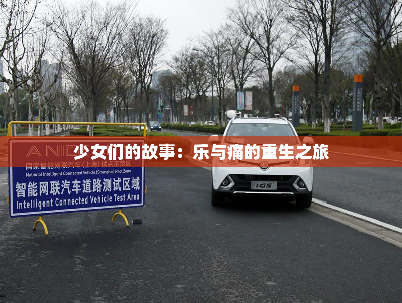 少女们的故事：乐与痛的重生之旅