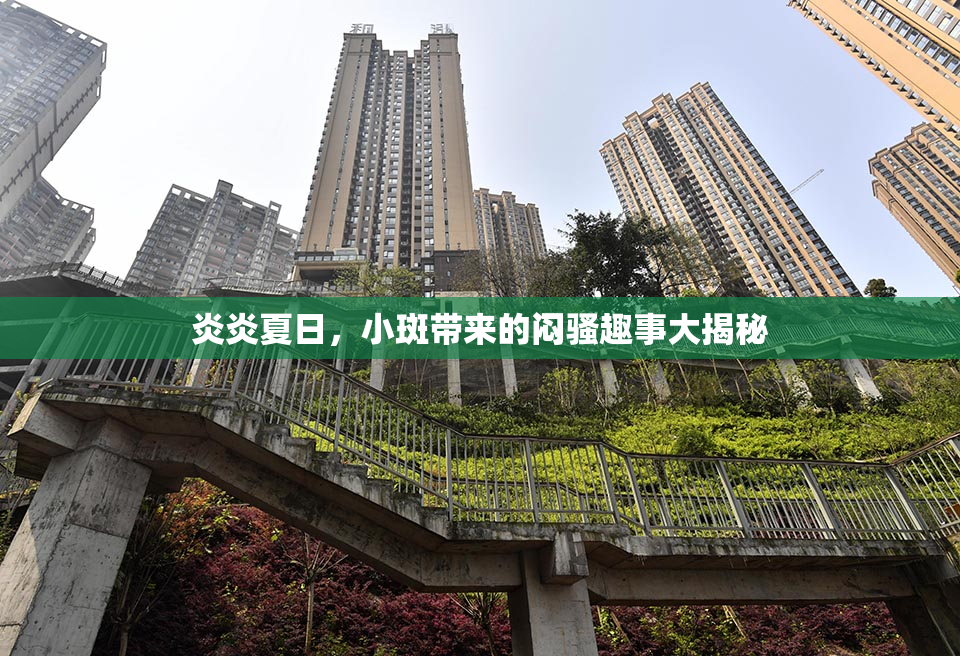 炎炎夏日，小斑带来的闷骚趣事大揭秘