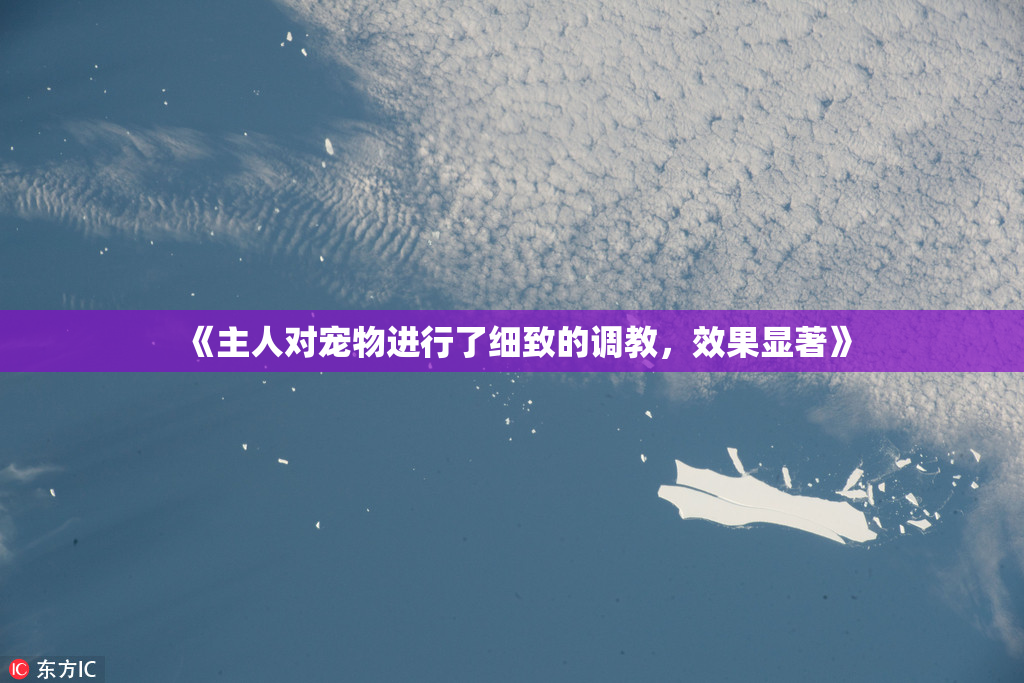 《主人对宠物进行了细致的调教，效果显著》
