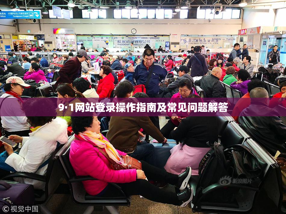 9·1网站登录操作指南及常见问题解答