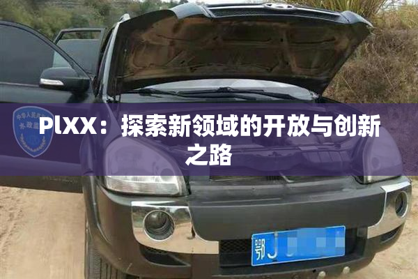 PlXX：探索新领域的开放与创新之路