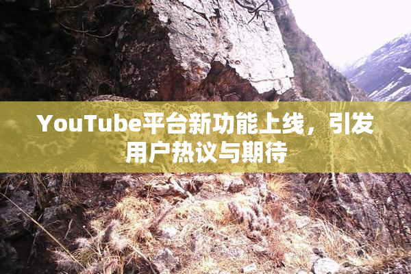 YouTube平台新功能上线，引发用户热议与期待