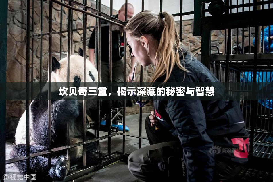 坎贝奇三重，揭示深藏的秘密与智慧