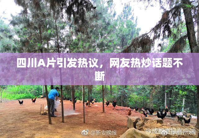 四川A片引发热议，网友热炒话题不断