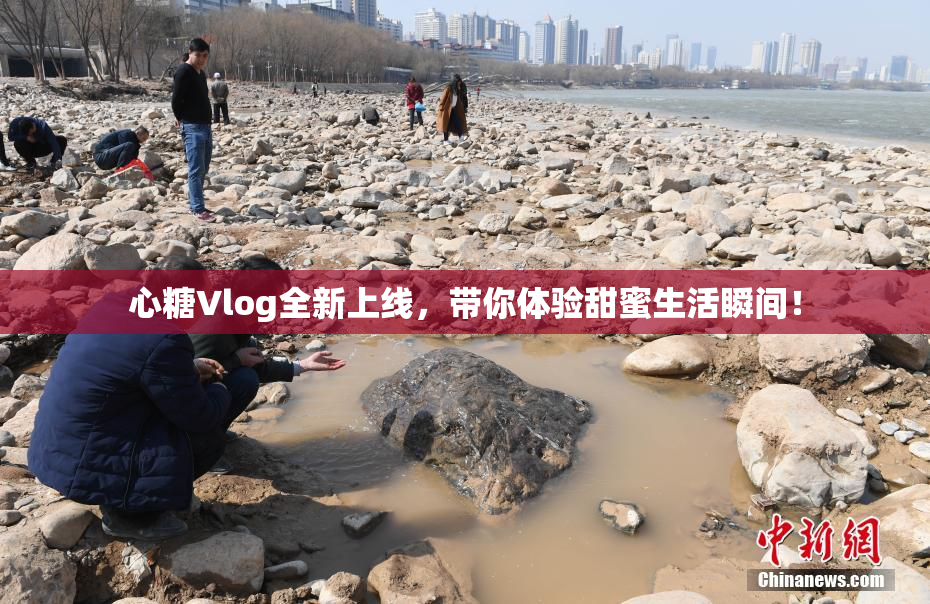 心糖Vlog全新上线，带你体验甜蜜生活瞬间！