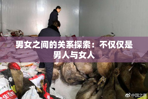 男女之间的关系探索：不仅仅是男人与女人